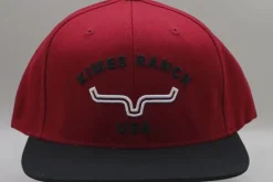 Arched Trucker Hat