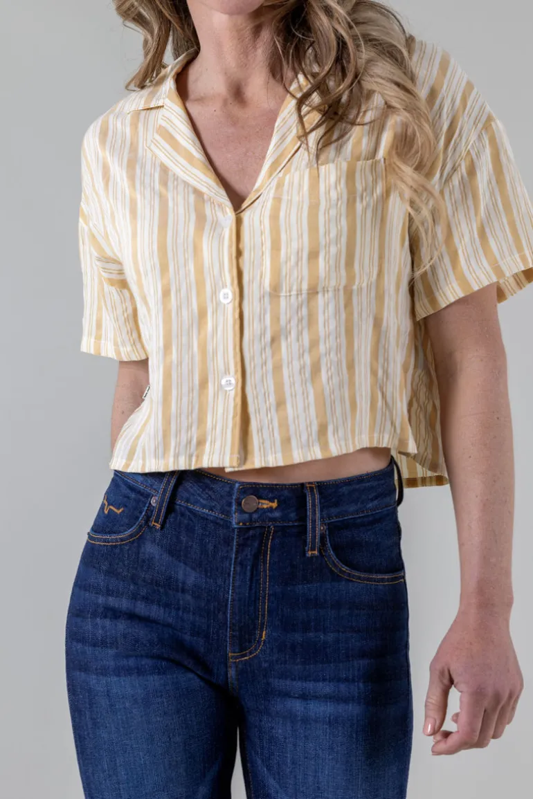 Ferris Top
