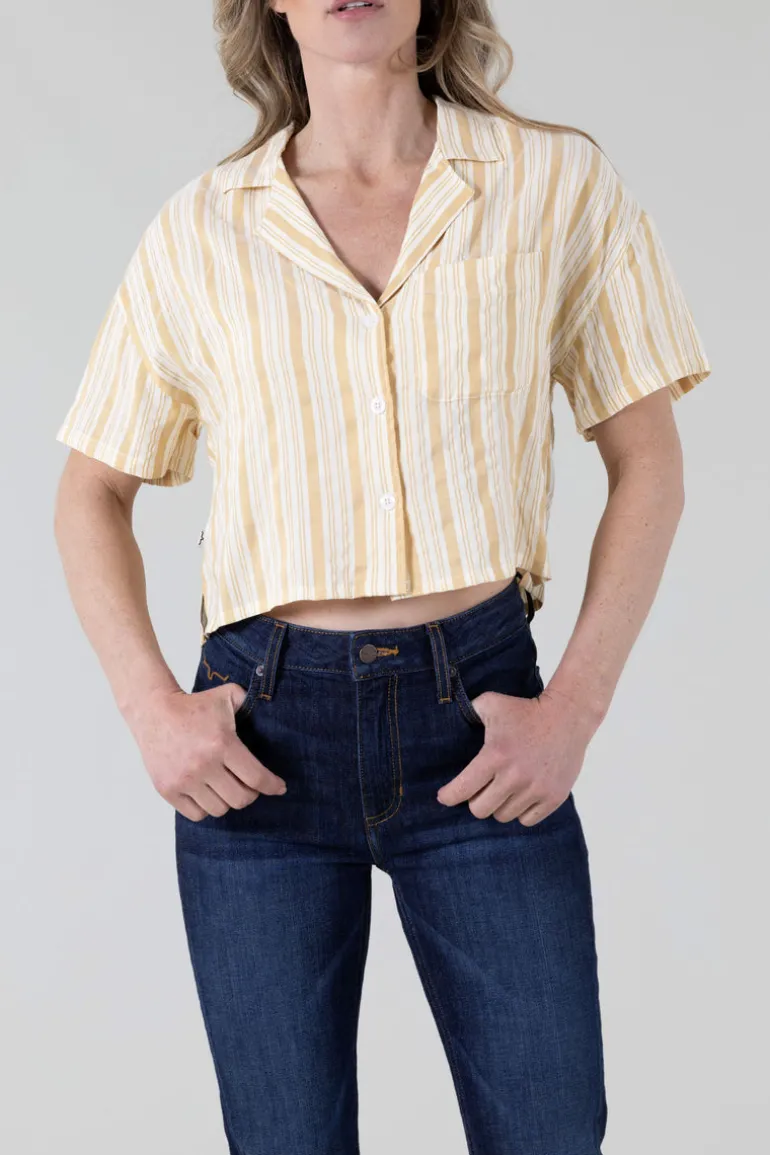 Ferris Top