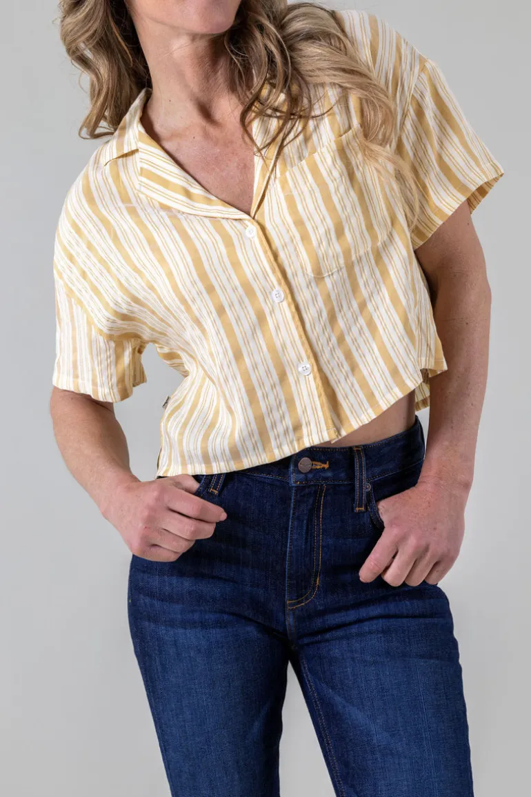 Ferris Top