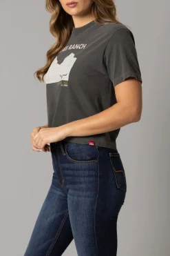 Ladies Scenery Crop Tee